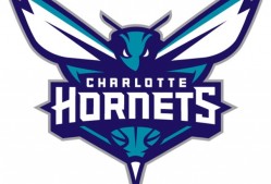  科迈罗大黄蜂通病 -华体会网页版