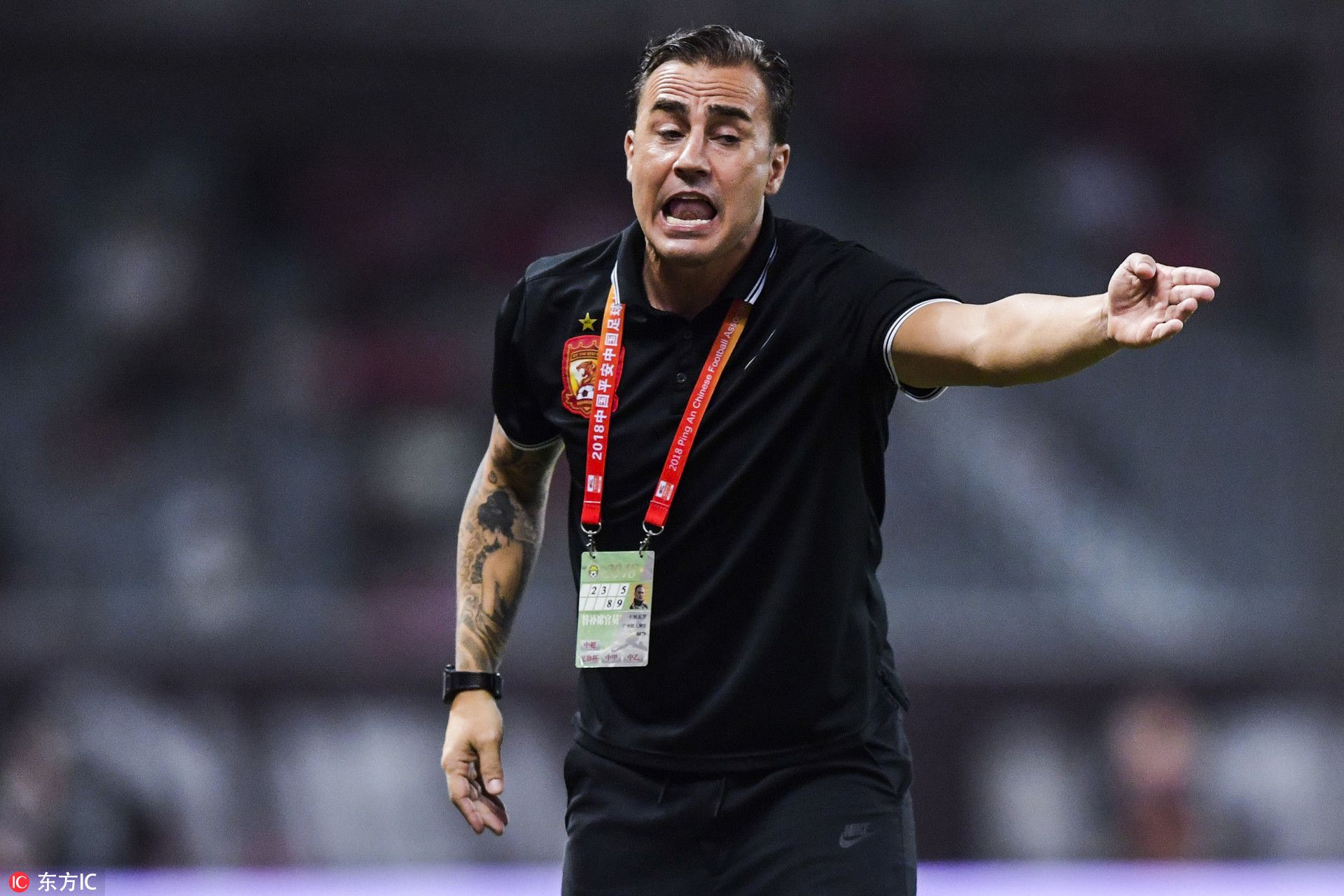 scavengersanother scavengersanother