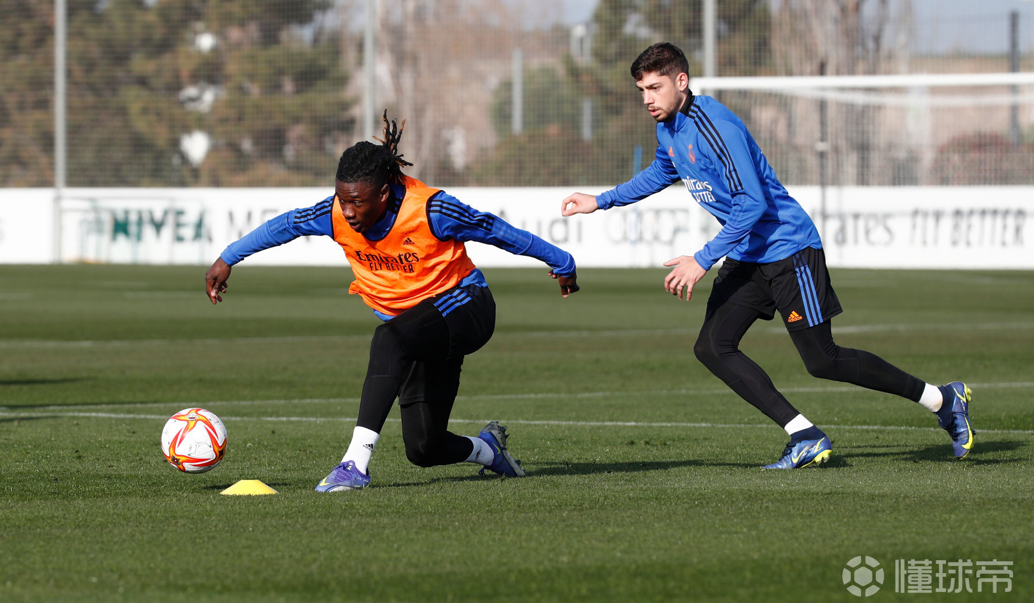 华体会体育 -独行侠正式宣布解雇哈里森